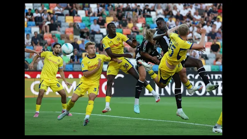 verona va udinese google 9393